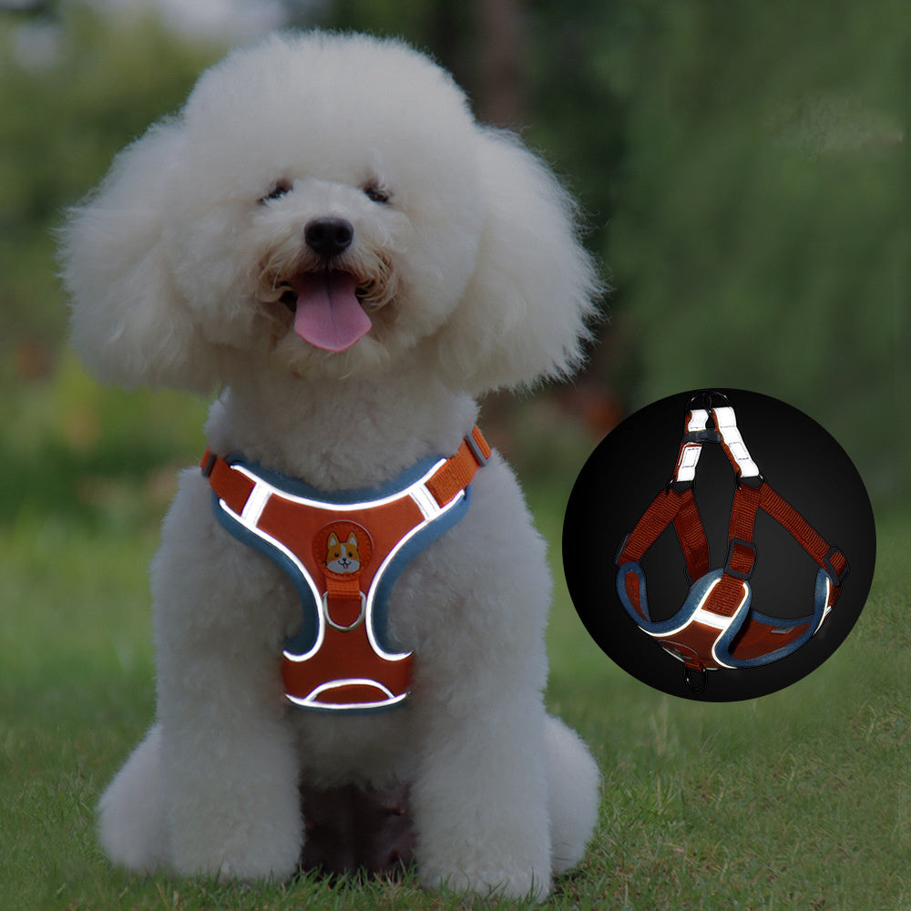 New Dog Leash And Harness Set