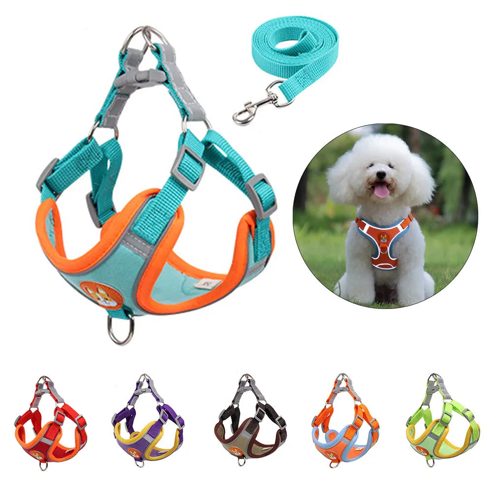 New Dog Leash And Harness Set