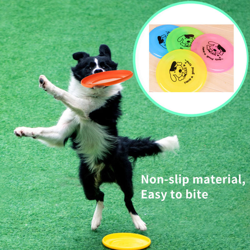 Dog  Outdoor Interactive Toys